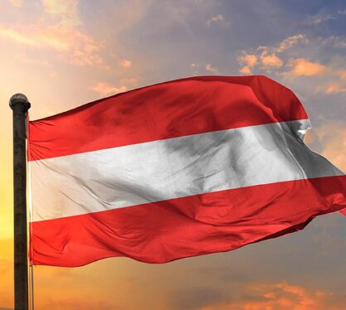 Identify Visa Pathway Type & Qualification